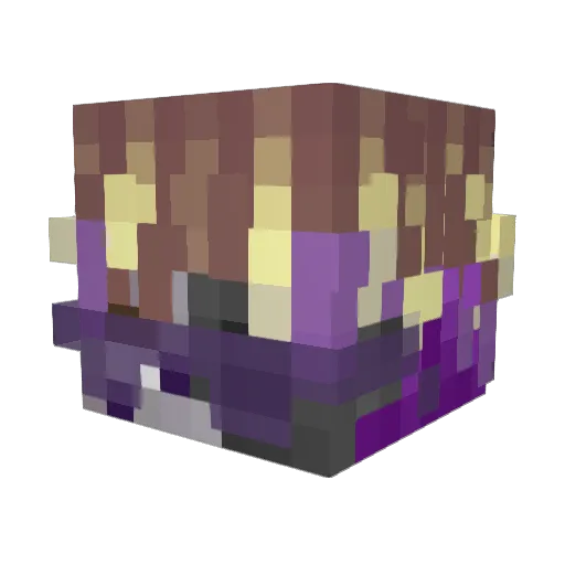Quaizen Minecraft avatar head, 3D render