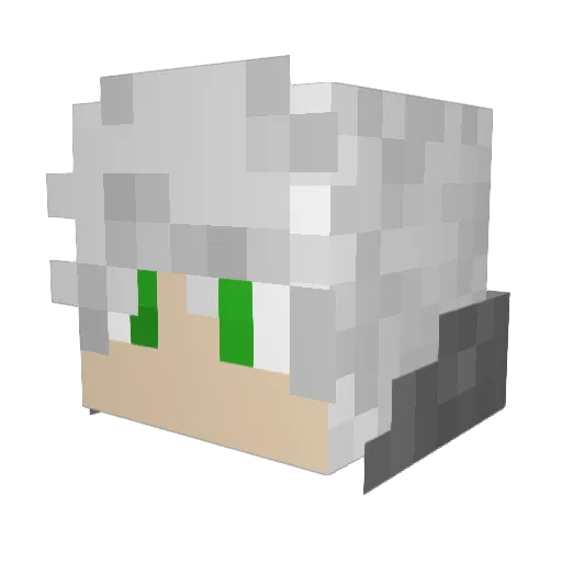 QuakPak619 Minecraft avatar head, 3D render