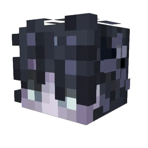 QuakPierce Minecraft avatar head, 3D render