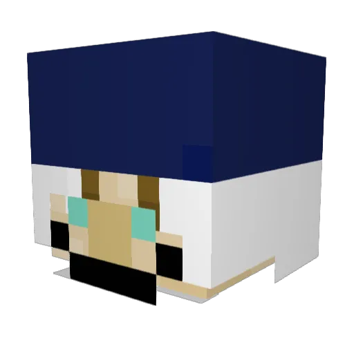 Quaker_Oats_Man Minecraft avatar head, 3D render