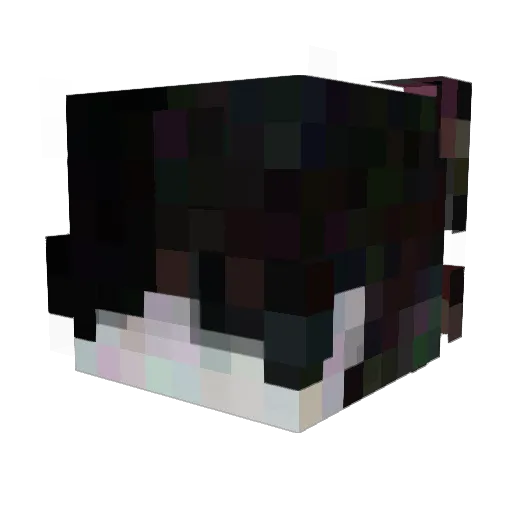 Quakiobi Minecraft avatar head, 3D render