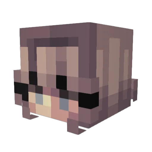 Quaky20 Minecraft avatar head, 3D render