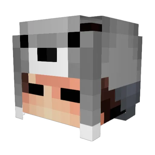 Qualcum Minecraft avatar head, 3D render