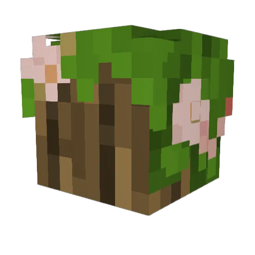 QualityMoose Minecraft avatar head, 3D render