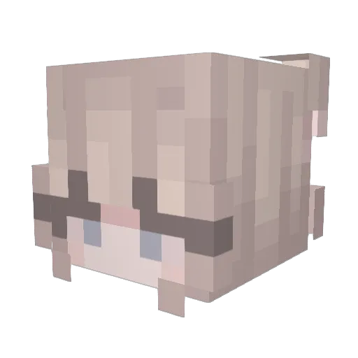 QualityNameYes Minecraft avatar head, 3D render