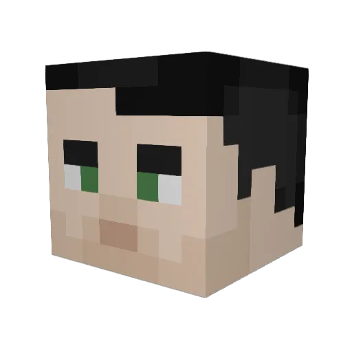 QualitySamwich Minecraft avatar head, 3D render