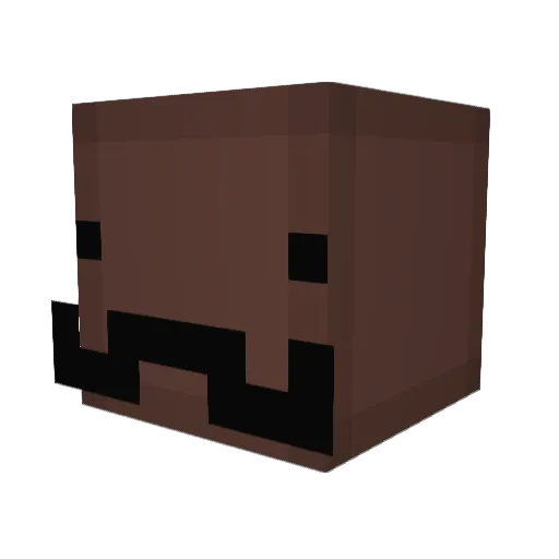 QuandaileDingle Minecraft avatar head, 3D render