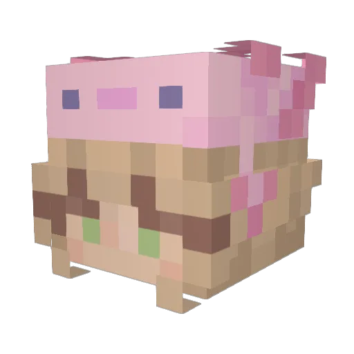 QuandrixQ Minecraft avatar head, 3D render