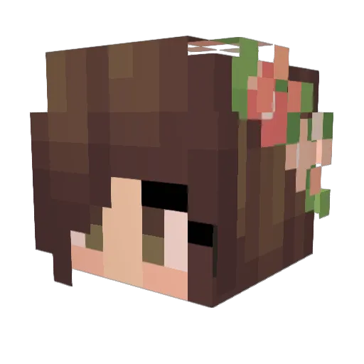 Quankie Minecraft avatar head, 3D render