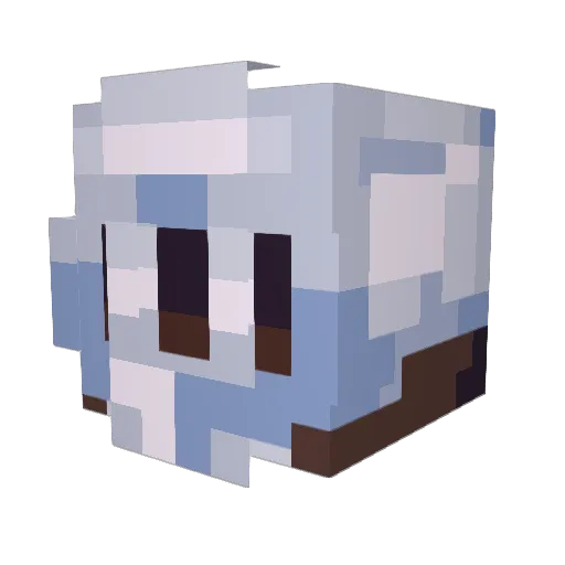 Quantum00 Minecraft avatar head, 3D render