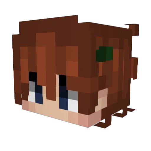 Quantum4Life Minecraft avatar head, 3D render
