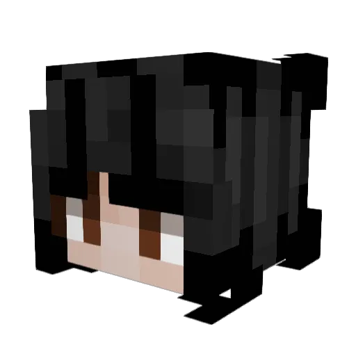 QuantumBurn Minecraft avatar head, 3D render