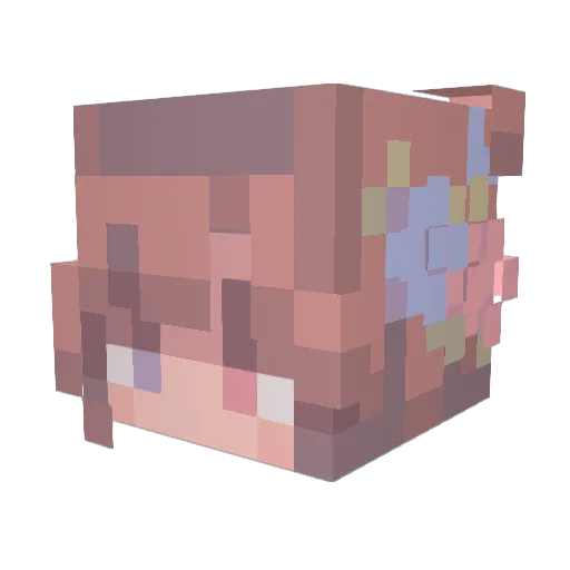 QuantumEmpress Minecraft avatar head, 3D render