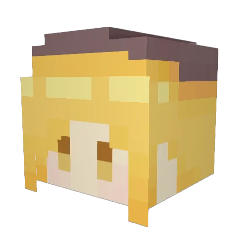 QuantumEvilCat Minecraft avatar head, 3D render