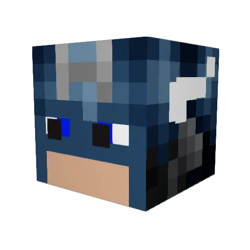 QuantumEvo Minecraft avatar head, 3D render
