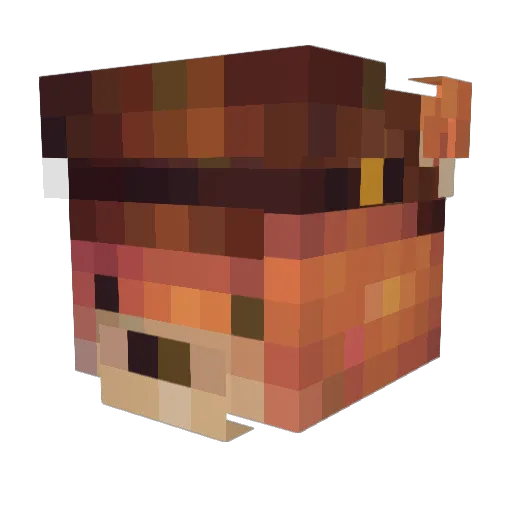 QuantyDeath Minecraft avatar head, 3D render