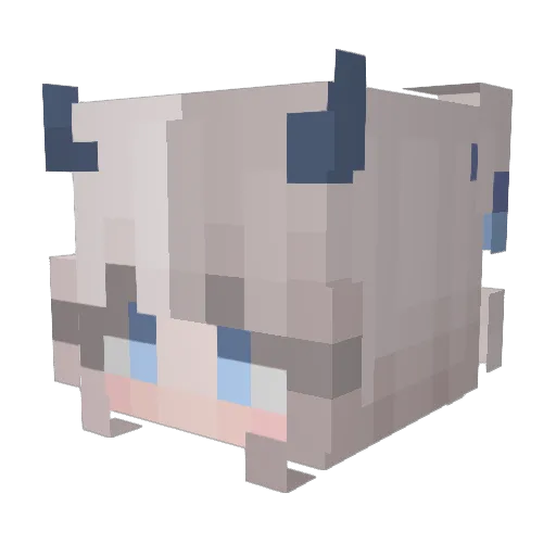 QuarinLeag Minecraft avatar head, 3D render