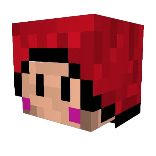 QuarkTasche_YT Minecraft avatar head, 3D render