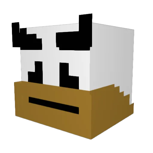 QuartinedIan Minecraft avatar head, 3D render