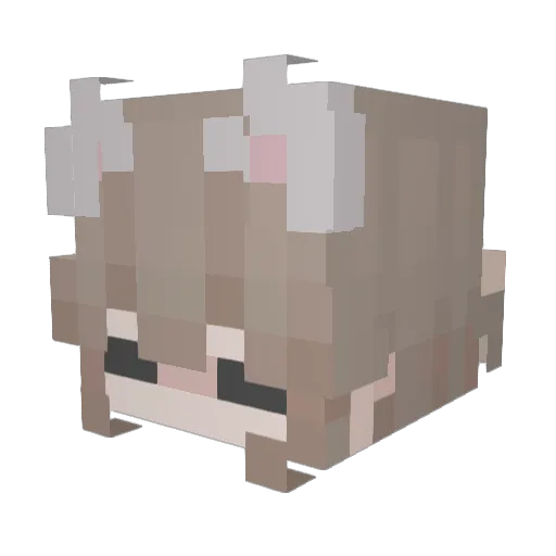 QuartzStar Minecraft avatar head, 3D render