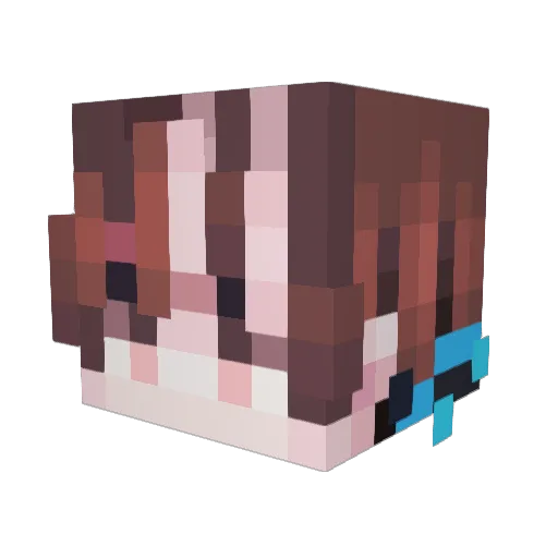 Quasain Minecraft avatar head, 3D render