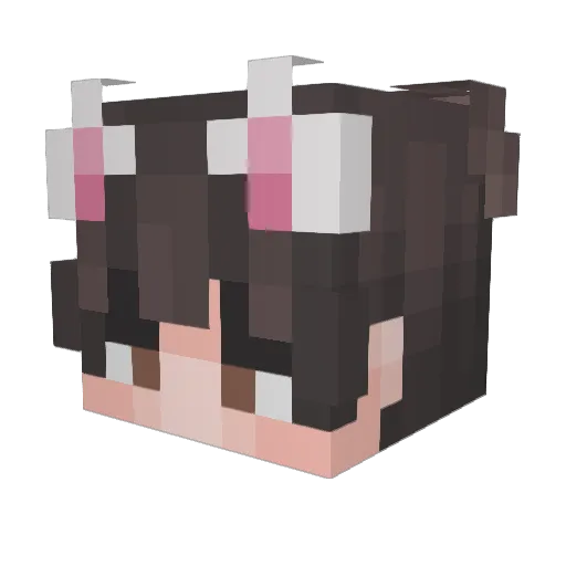 Quasar4242 Minecraft avatar head, 3D render