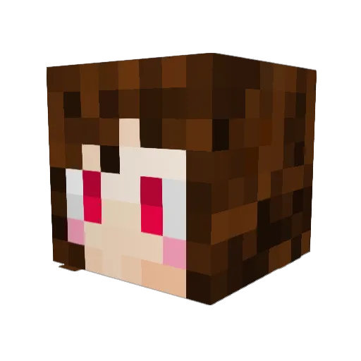 Quaser Minecraft avatar head, 3D render