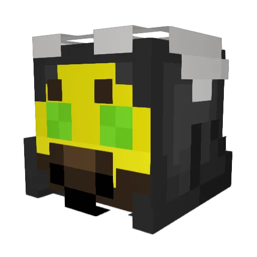 QuasiBenFinn Minecraft avatar head, 3D render