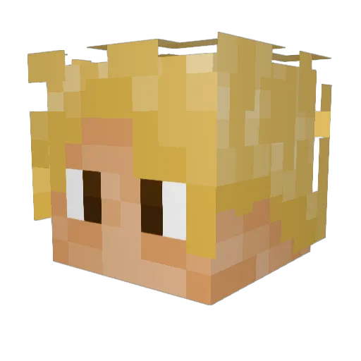 QuasiDude Minecraft avatar head, 3D render