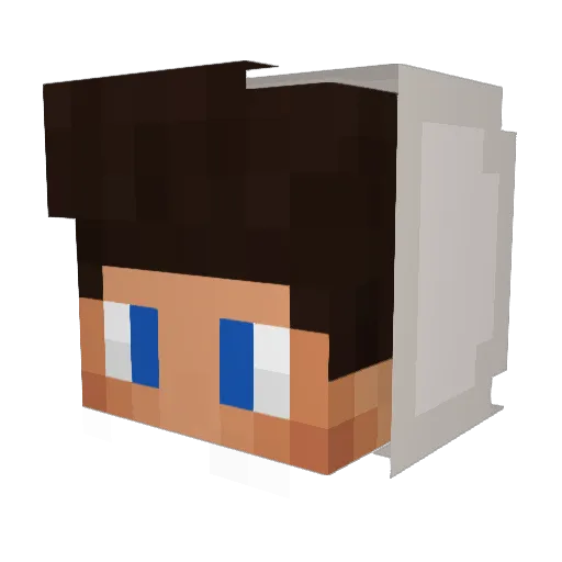 Quasie Minecraft avatar head, 3D render