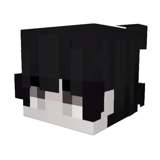 Quasistellar24 Minecraft avatar head, 3D render