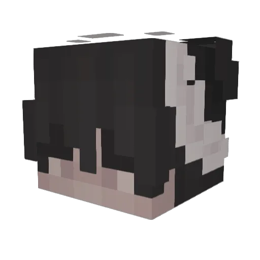 QuatheFarmer Minecraft avatar head, 3D render