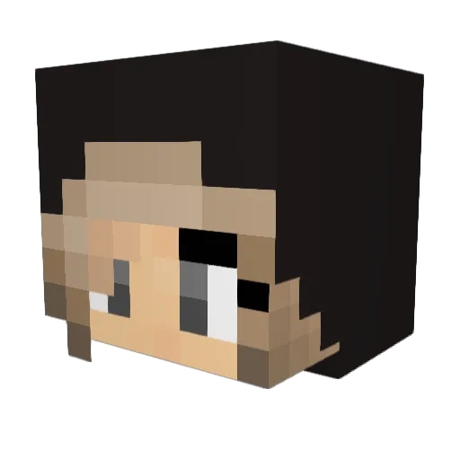 Quatro64 Minecraft avatar head, 3D render