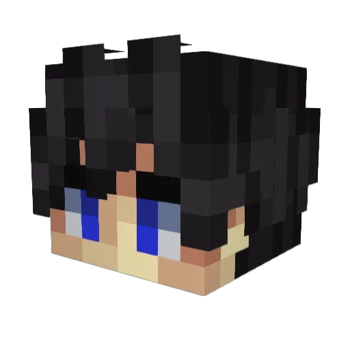 QuattroWP Minecraft avatar head, 3D render