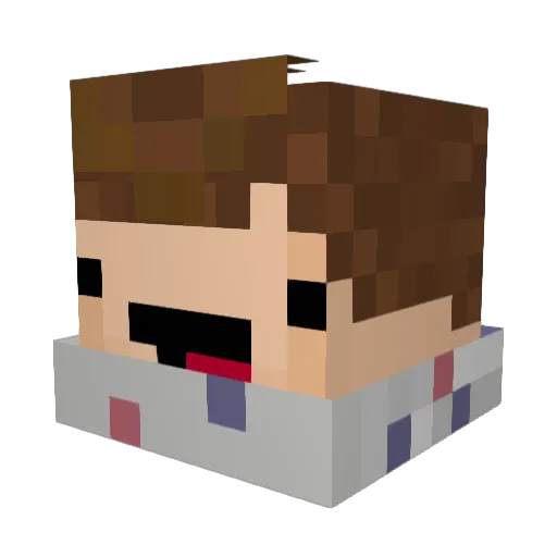 Quax_ Minecraft avatar head, 3D render