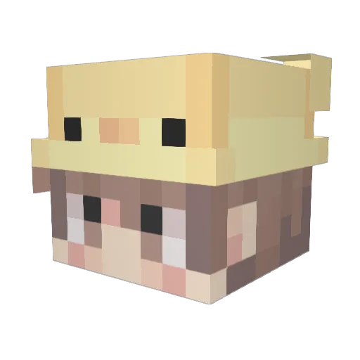 Quaxks Minecraft avatar head, 3D render