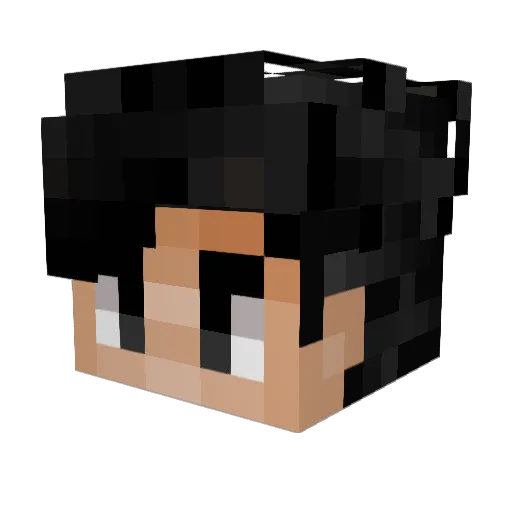 Quayons Minecraft avatar head, 3D render