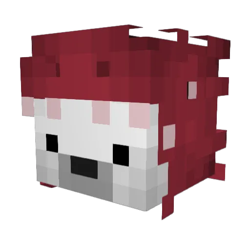 Quaysh Minecraft avatar head, 3D render