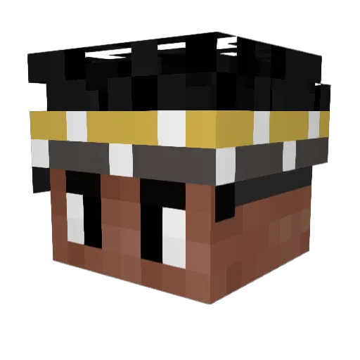 Quazaj Minecraft avatar head, 3D render