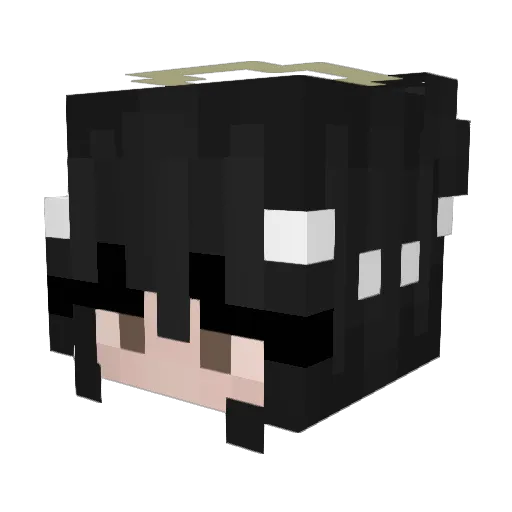 Quazi0509 Minecraft avatar head, 3D render