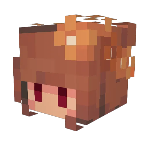 Quazicotal Minecraft avatar head, 3D render