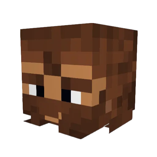 Quazimataz Minecraft avatar head, 3D render