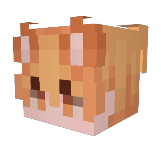 Qubittiger Minecraft avatar head, 3D render