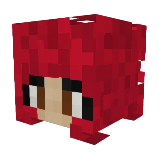QueEssenceBee Minecraft avatar head, 3D render