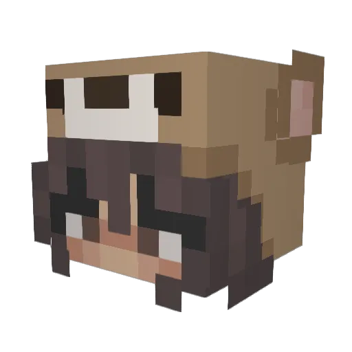QueSitas_12 Minecraft avatar head, 3D render