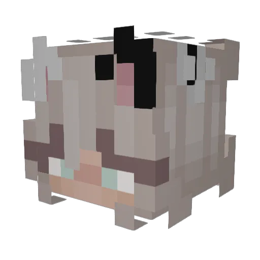 Queebloo1 Minecraft avatar head, 3D render