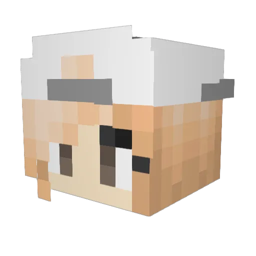 QueenB2010 Minecraft avatar head, 3D render