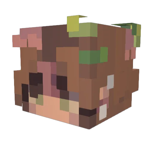 QueenB6668 Minecraft avatar head, 3D render