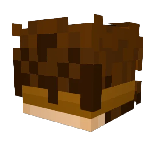 QueenEagle Minecraft avatar head, 3D render