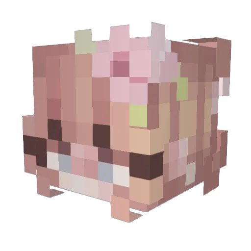 QueenEmilyYT Minecraft avatar head, 3D render